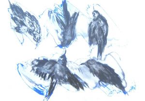 IMG 0060 800x558 IMG 0060 800x558
