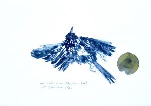 IMG 0064 800x561 IMG 0064 800x561