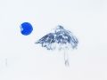 IMG 0082 800x590