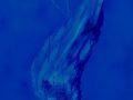 expo poids plume 13