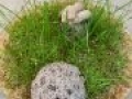 img 3270