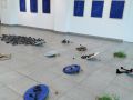 img20230315152934